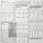 Sudan Archives - The BPM | Experimental Violin | Ruby Red 2LP