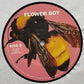 Tyler, The Creator - Flower Boy | 150g 2‑LP Vinyl | Audiophile | Fast Shipping
