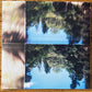 Godspeed You! Black Emperor - No Title as of 13 Feb 2024 28,340 Dead | 2LP Album