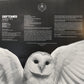 Deftones - Diamond Eyes 12" LP | Packaged W/ Care | Brand New Vinyl