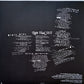 Green Day - Insomniac | 25th Anniversary Deluxe 2LP | Remastered + Live Tracks