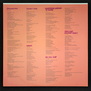 Neko Case - Neon Grey Midnight Green | 2025 LP | Fast Shipping Direct 2 U
