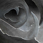 A-SYMMETRY I Am Life