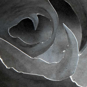 A-SYMMETRY I Am Life