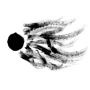 AGF & VARIOUS Dissidentova