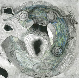 AINE O'DWYER Gallarais