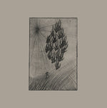 AINE O'DWYER Locusts