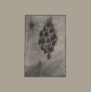 AINE O'DWYER Locusts