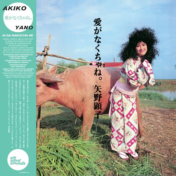 AKIKO YANO Ai Ga Nakucha Ne