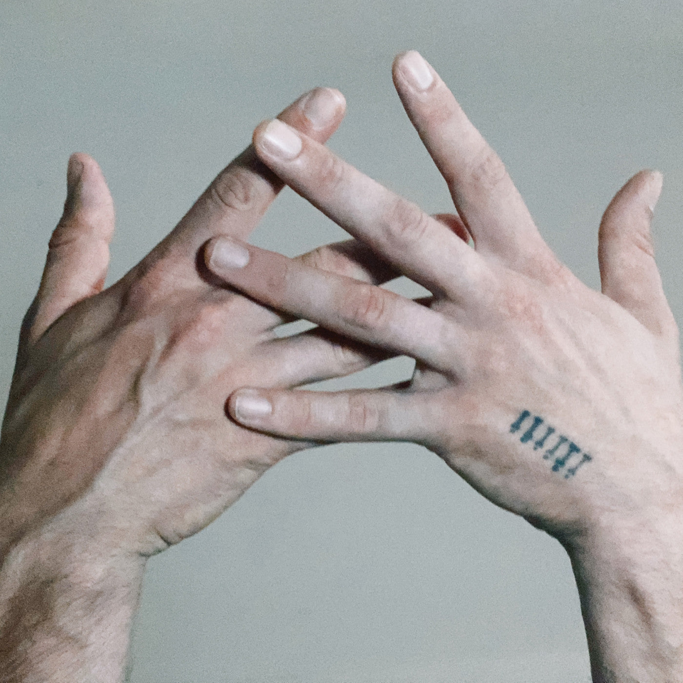 Alabaster DePlume A Blade Because A Blade Is Whole (That Was My Garden Vinyl)