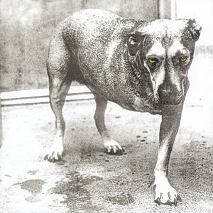 Alice In Chains Alice In Chains (30Th Anniversary Reissue) [Color Vinyl] [2LP]