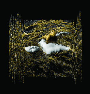 ALINA KALANCEA Letters Never Sent