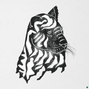 ALPHA STEPPA & AWA FALL What a Joy