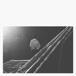 AMBY DOWNS I Am Holding My Breath