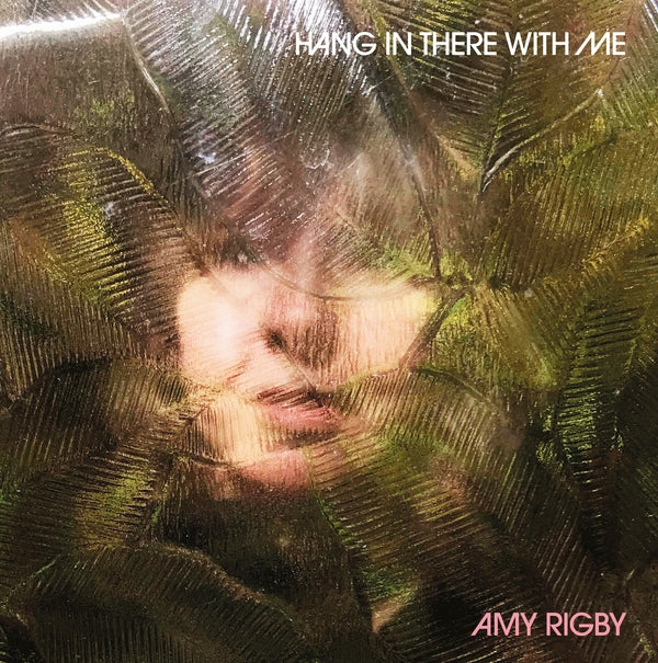 Amy Rigby Hang In There With Me