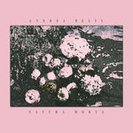 ANDREA BELFI Natura Morta