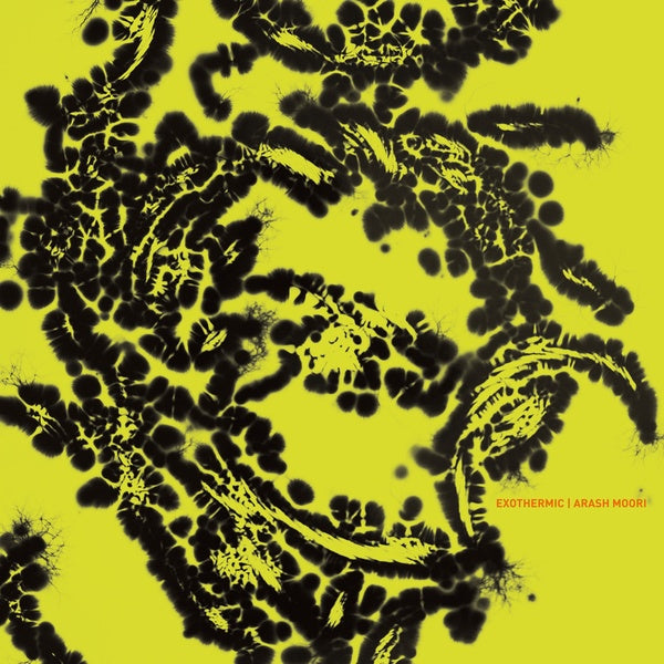 ARASH MOORI Exothermic