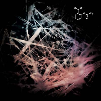 ARBEIT SCHICKERT SCHNEIDER ASS