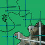 ASHTRAY NAVIGATIONS To Make A Fool Ask, And You Are The First