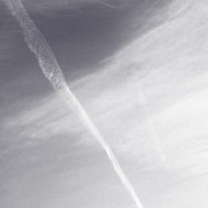 AVIVA ENDEAN Moths & Stars