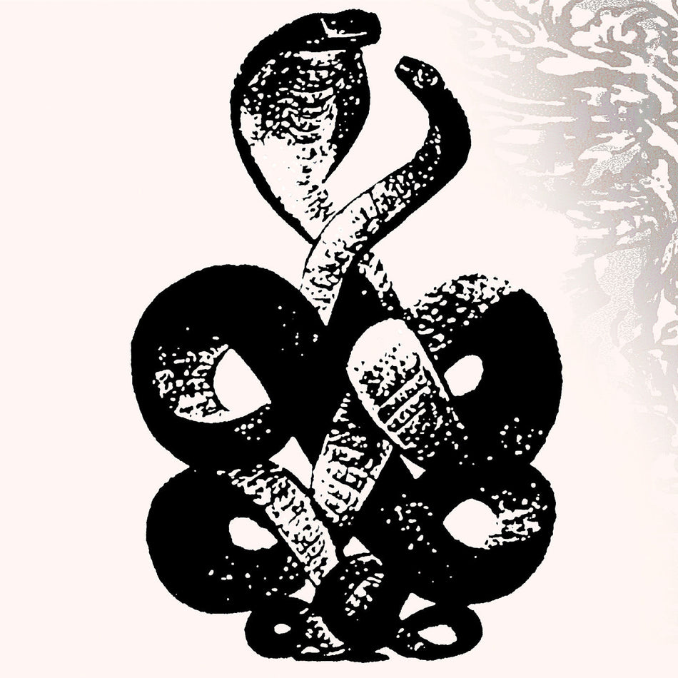 Bardo Pond Volume 4 & 5