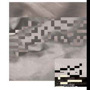 BELARISK Moments in Shapeshifting