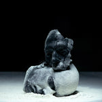 BELIEF DEFECT Decadent Yet Depraved