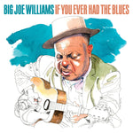 BIG JOE WILLIAMS If You Ever Had The Blues