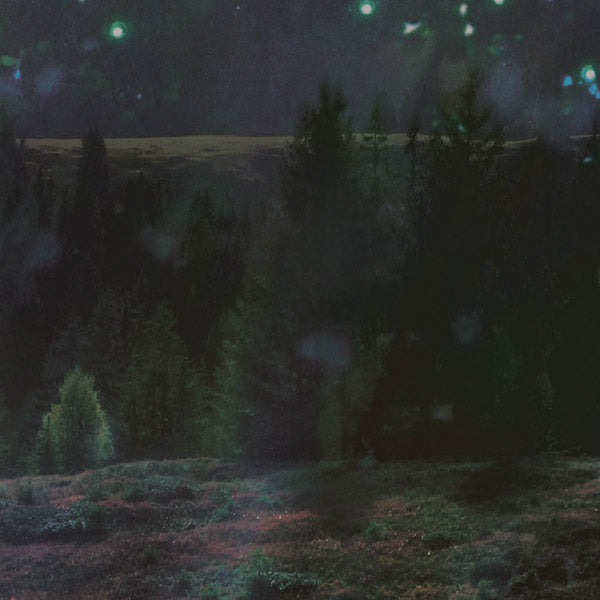 BIGENERIC Spielmanda