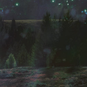 BIGENERIC Spielmanda