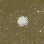 BILL SEAMAN & STEPHEN VITIELLO The Clear Distance