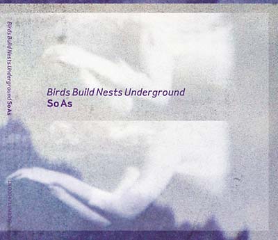 BIRDS BUILD NESTS UNDERGROUND So As