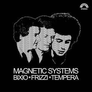 BIXIO/FRIZZI/TEMPERA Magnetic Systems