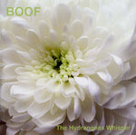 BOOF The Hydrangeas Whisper