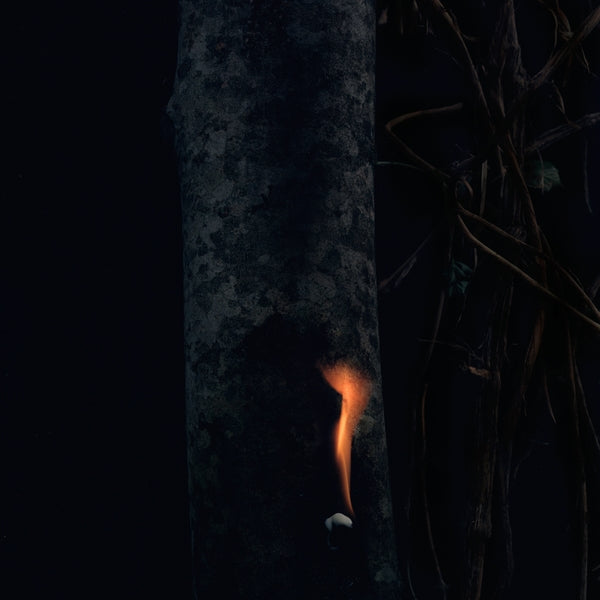 Bzdb Jump Ship, Sit Lean, Be Still, Stand Tall