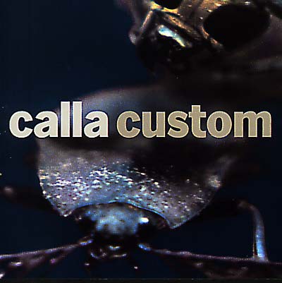 CALLA Custom (The Remix Project)