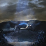 CATERINA BARBIERI Spirit Exit