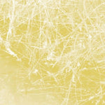 CELER Cursory Asperses