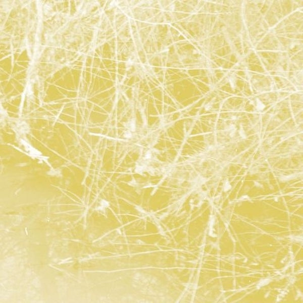 CELER Cursory Asperses