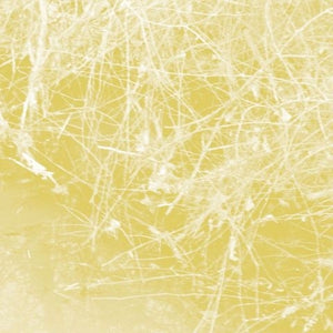 CELER Cursory Asperses