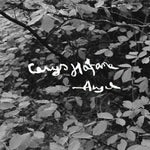 Cerys Hafana Angel [Lp]