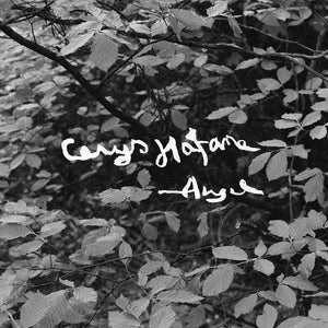 Cerys Hafana Angel [Lp]