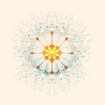 CHARLIE CHARLIE Litte Things