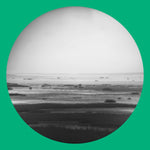 CHIK WHITE Guts Magnet Sea