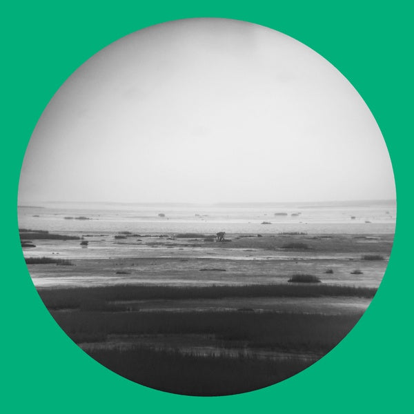 CHIK WHITE Guts Magnet Sea