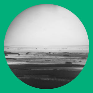 CHIK WHITE Guts Magnet Sea