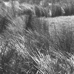 CHRIS ABRAHAMS Thrown (15th Anniversary Edition)