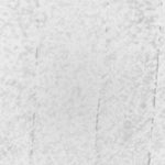 CHRISTINA GIANNONE Zone 7