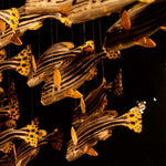 CITY CENTER City Center