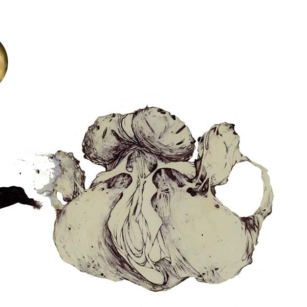 COIL The Ape Of Naples